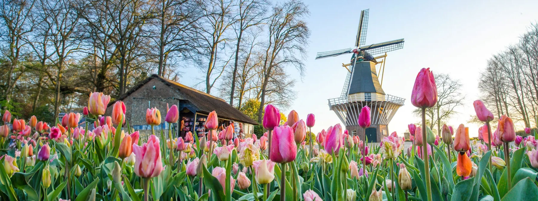 Your gateway  to Holland’s  finest tours