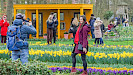 Keukenhof Entree en retourvervoer vanuit Rotterdam en Den Haag