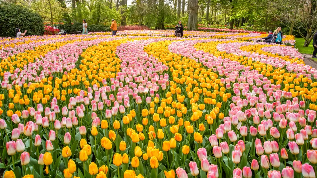Keukenhof