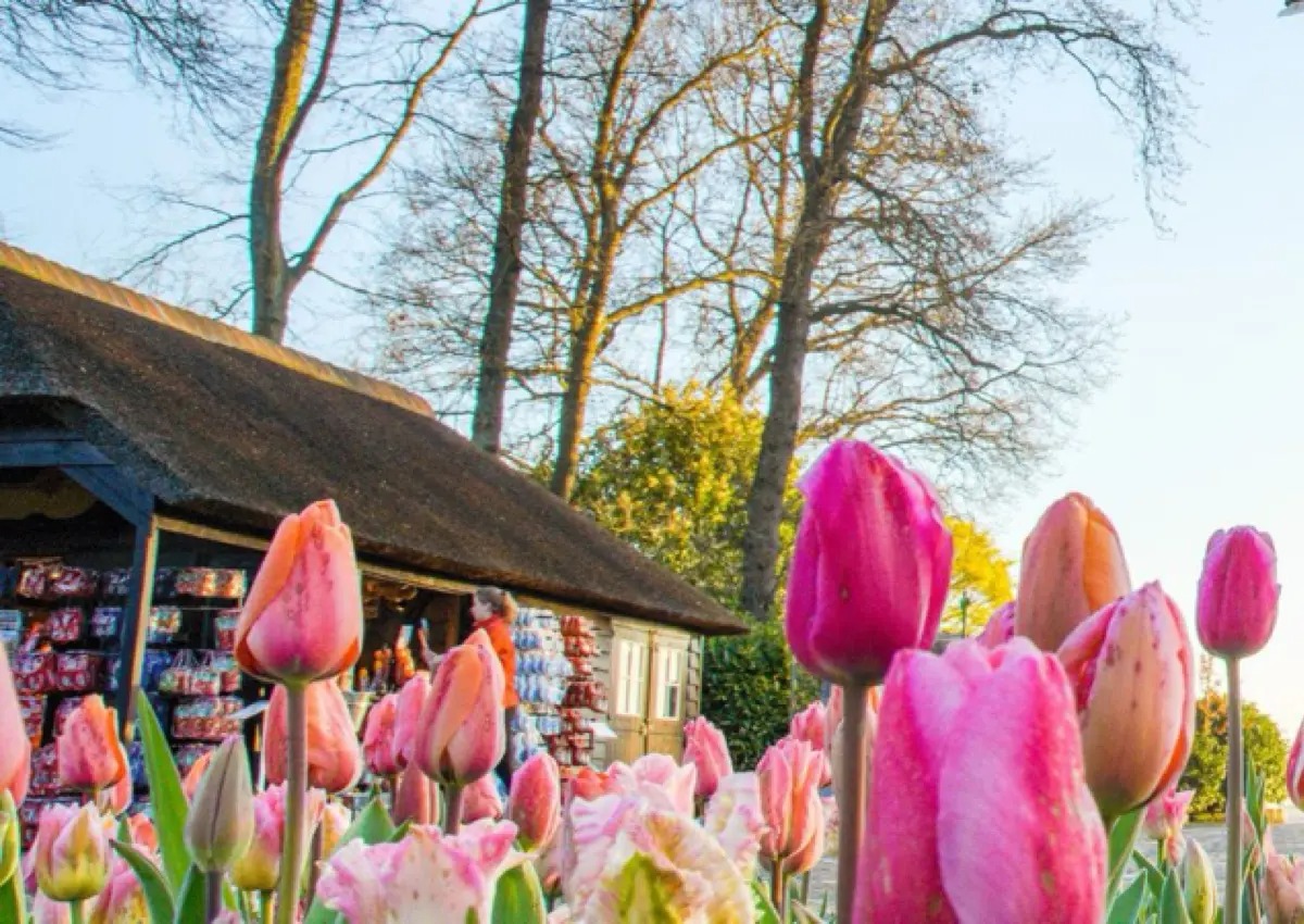 Rondleidingen Keukenhof